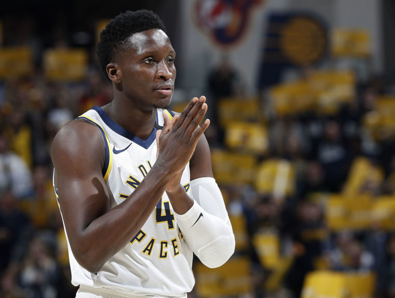 新了比分 新了比分