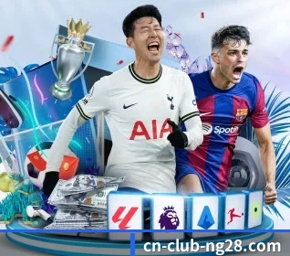 五大服务分区,信息按项目分类 - NG28